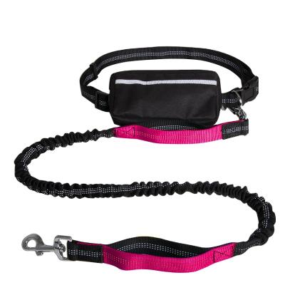 China Quick Release Multi Functional Retractable Dog Leash For Hands Free Running With Adjustable Reflective Fabric Pet Harness for sale