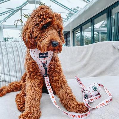 China Reflective New Design Custom Logo D-Clip On Front Of Dog Harness With Leash Poop Bag For Puppy for sale