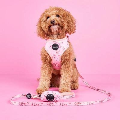 China Thoughtful Custom Design Rose Gold Hardware Accessories Dog Harness Set With Soft Padding for sale