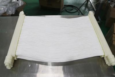 Chine Membranes MBR Modules de rideau basés sur le PVDF amélioré pour la transformation alimentaire Traitement des eaux usées à vendre