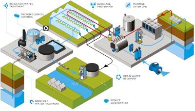 China 900000 sistemas de ósmosis reversa de GPD para la agricultura en venta