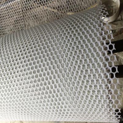 China White Breed PE Plastic Flat Netting for sale