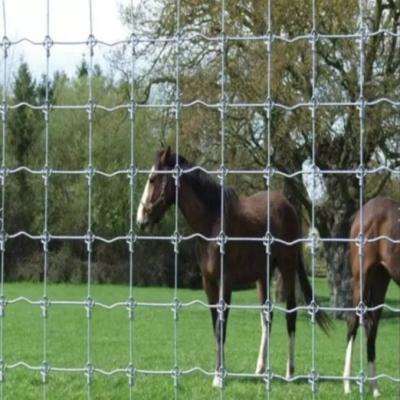 China Easily Assembled Wire Livestock Animal Farm 1.5x50m Woven Deer Fence for sale