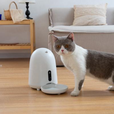 China Automatic Wifi Connect Mobile Phone APP Remote Operate Automatic Dog Cat Feeder Smart Pet Feeder With Camera for sale