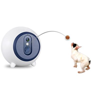 China Ccpet dog cat food automatic pet driver pet factory machine toy wifi automatic pet driver wholesale automatic pet driver dog for sale