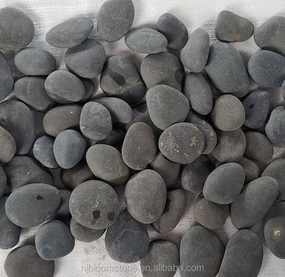 China Gray natural stone river pebbles for sale