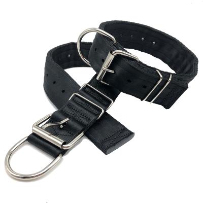 China Wholesale Viable 4 Layers Nylon Dog Collar Bull Pit Kennel Dog For Large Dogs Training for sale