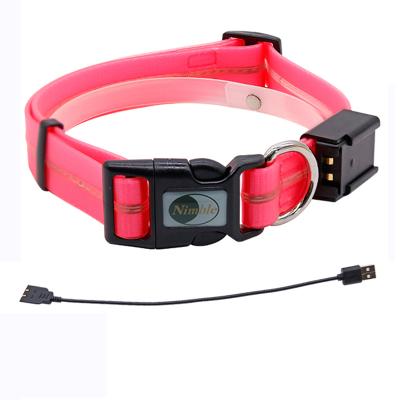 China Fashion Sustainable Safety Walking At Night Hot Sale Led Pet Collar Led Flash Pet Collar With USB Cable for sale