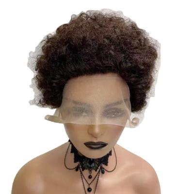 China Short Curly Curly Hair Wig Afro Wave Fluffy Cosplay Wigs For African American Wigs#4 for sale