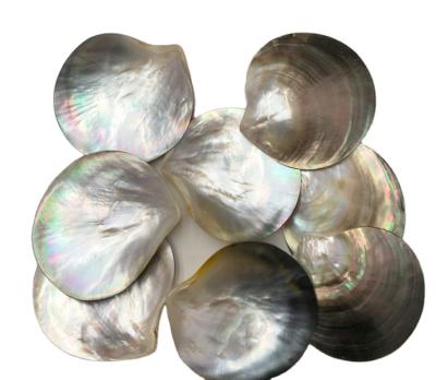 China Europe Wholesale Polished Black BROOM Seashell Crafts Tahiti Raw Mother Of Pearl Shells for sale