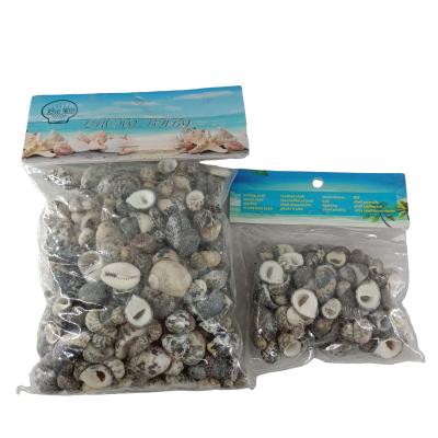 China Nautical Replacement Shell Crafts Fish Tank Filler Hermit Crab Shell Snail PVC Bag Packing 100g or 460g for sale