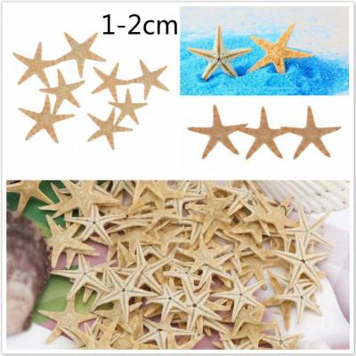 China China 50/100PCS Natural Starfish Starfish Beach Wedding Decoration DIY Beach Craft Natural Seashell Opens Home Decor Epoxy 1-2cm for sale