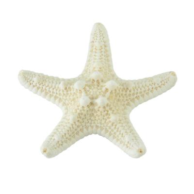 China Europe Mediterranean Sea 5-8cm Cute Mini Starfish Decoration DIY Craft Beach Shells Cottage Kids Bedroom Decor Ornaments for sale