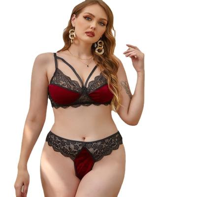 China Light Weight Night Club Party Women Plus Size Pretty Girls Women Lingerie Sexy Underwear Apparel for sale