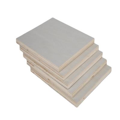 China Modern Furniture Grade Commercial White Poplar Plywood for sale