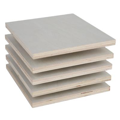 China 2-25mm Modern Furniture Grade Cheap Natural Poplar Plywood for sale