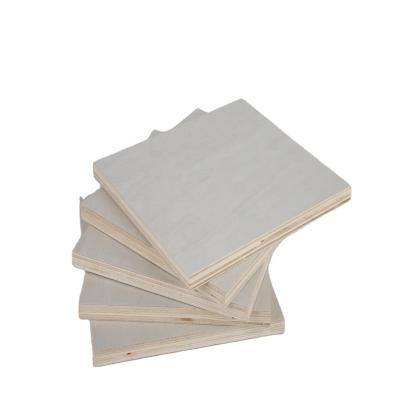 China Laminated Bendable Plywood Modern White Lowes 4Mm 2Mm Poplar 3Mm 5Mm 6Mm In Plywood Price for sale