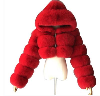 China Buy Reversible Plus Size, Faux Fur, 2021 Winter Coat, Jacket Woman for sale