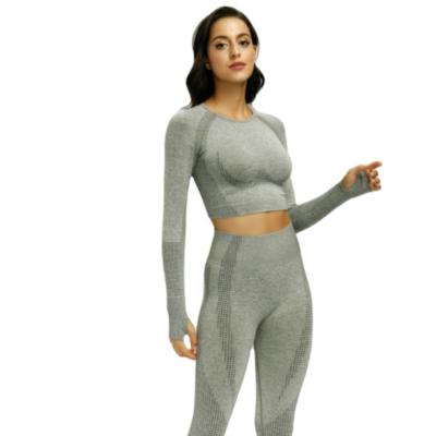 China Beautiful Amazon Soft Fashion Solid Color Long Sleeved Fitness Women's New Yoga Seamless Set for sale