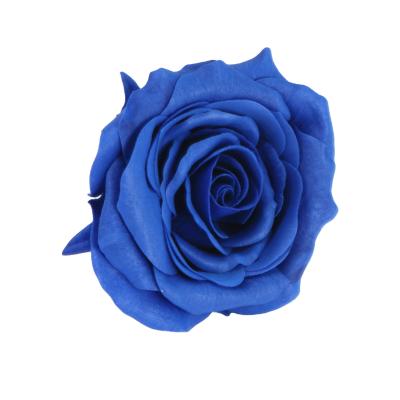 China Best celebration valentines sale gifts preserved forever eternal preserved roses ecuador eternity flowers ecuador roses flower for sale