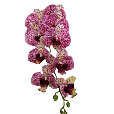 China Wholesale Hot Sale 9 Real Fashional Phalaenopsis Butterfly Heads Orchid Artificial Latex Flower Long Stem for sale