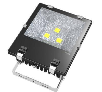 China 10000K Customized CCT LED Floodlights IP66 AC240V 150W Aquarium Lighting for sale