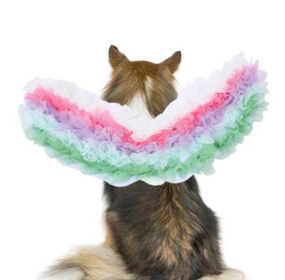 China Funny Newcomer Pet Viable Creative Christmas Halloween Apparel Props Colorful Wings Dog Costumes for sale