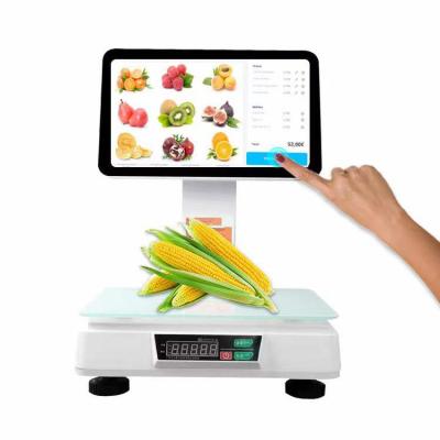 China 15.6inch All In One Touch Screen Retail POS System Price Machine / POS / POS Double Terminal 15.6