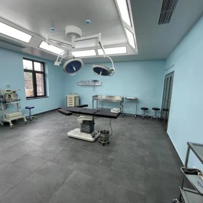 China Plastic Double Dome Ceiling Surgical Lamp, LED Shadowless Light, Medical LED Light for sale