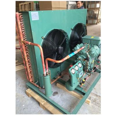 China Refrigeration Parts Cold Room Refrigeration Unit Power Saving Condensing Refrigeration Unit For Cold Storage for sale