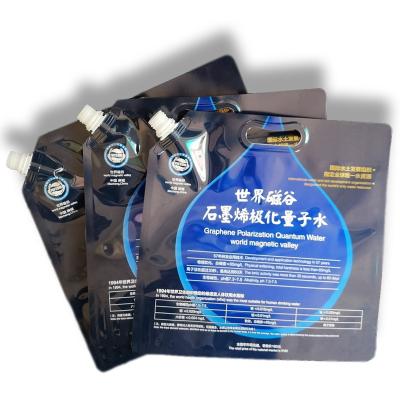 China Custom Plastic Graphite Moisture Proof For Two Water Bags Flat Bottom Bags And Handles for sale