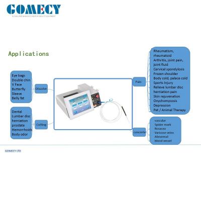 중국 관 제모를 위한 고통이 없는 1470 Nm 980 Nm 다이오드 레이저 판매용