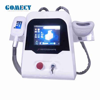 China máquina de congelación gorda de 600W Cryolipolysis para Chin Therapy doble en venta