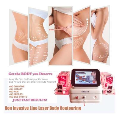 China Dual Wave Lipo Laser Slimming Machine 3d 5d 650 780 940 980 808nm for sale