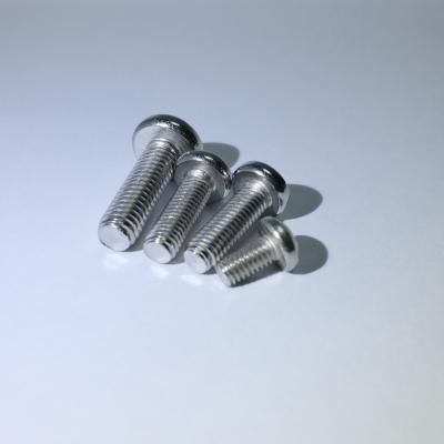 China Industry OEM Factory Screws Pan Head Round Head Safety Screws Round for sale