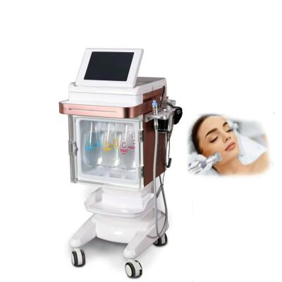 China Pigment Removal New 5 in 1 Water Rejuvenation Skin Care Small Spa H2O2 Bubble Oxygen Facial Machine for sale