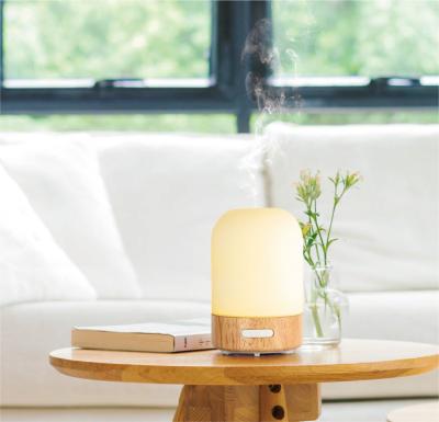 China Delko Ultrasonic Aroma Diffuser - Imagine Essential Oil Rechargeable Diffuser 100 ml in Iridescent à venda