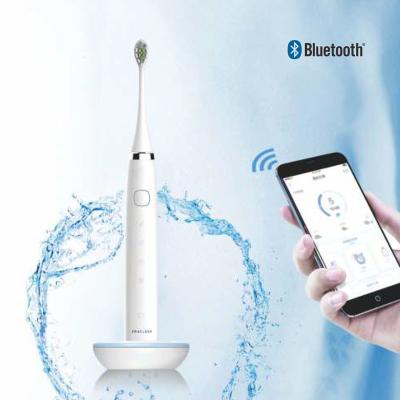 Cina Bluetooth Electric Toothbrush App customized cleaning mode lasts 20 days, electric toothbrush 4-gear adjustment in vendita