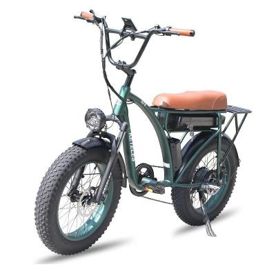 China 23AH Battery Capacity 1000W 2000W Motor 20 inch Fat Bike Electric Bike Custom Support for sale