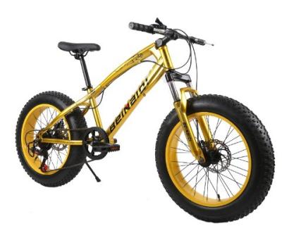 中国 20 インチ 子供のビーチスノーバイク 4.0 太いタイヤ 山岳自転車 7/21/24/27 スピード 販売のため