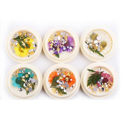 China Easy Apply 2019 Dried Flowers To Nail Real Dry Dried Art Flowers 3d Nail Art Decoration Design for sale