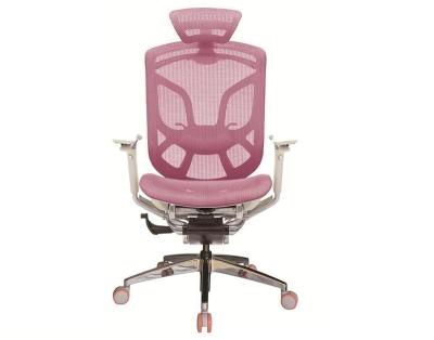 China (Size) 5 Years Warranty Butterfly Comfort Ergonomic Office Computer Staff Chair for sale