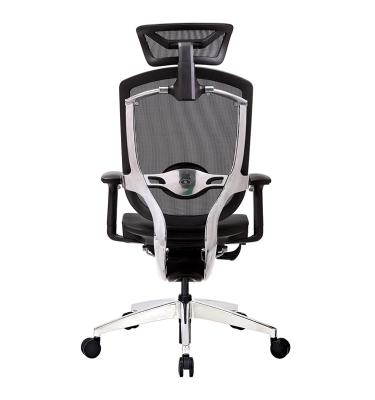 China (Size) Adjustable GTCHAIR Marrit GT07-35X Mesh Computer Ergonomic Swivel Chair for sale