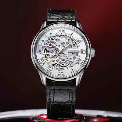 China Bestdon BD77120G Good Quality Dial Water Resistant Sapphire Glass Japan Movement Skeleton Stainless Steel Case Automatic Mechanical Watch for sale