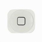 China iPhone 5 Home Button Key Replacement Parts - White for sale