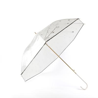 China Fashion durable star pattern decor transparent waterproof cloth straight umbrella for kid for sale