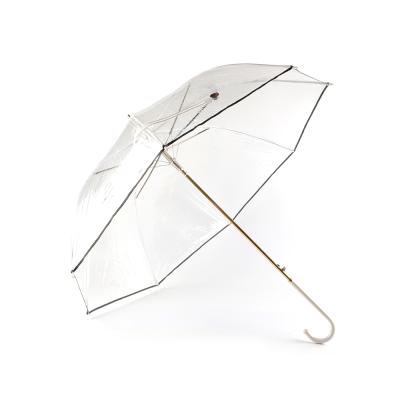 China New trend craft decor waterproof rainy TPU cute kids transparent straight umbrella for sale