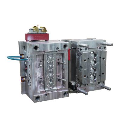 China Car China OEM Multi Cavities Plastic Mold Making Factory Manufacturer Plastic Injection Molds for sale