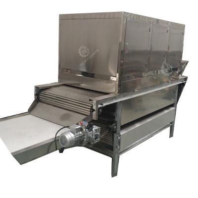 China Snack Factory 1000kg/h Automatic Garlic Peeling Machine No Damage Commercial Chain Garlic Peeler for sale