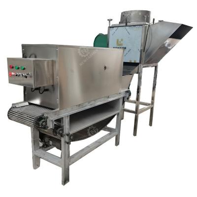 China Snack Factory The Hottest Selling 400kg/h 1200W Chain Garlic Peeling Machine for sale